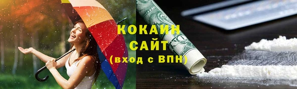 прущий лед Алзамай