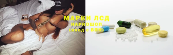 прущий лед Алзамай