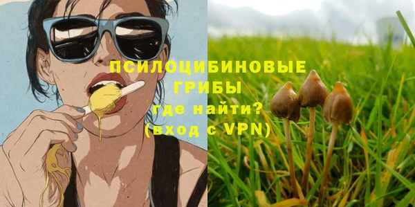 тгк Алексин