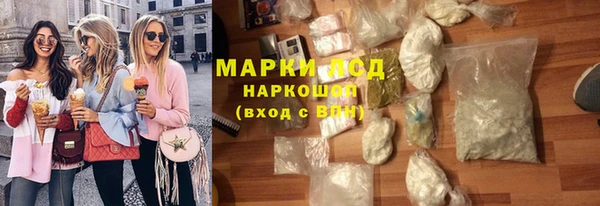 крисы Новозыбков