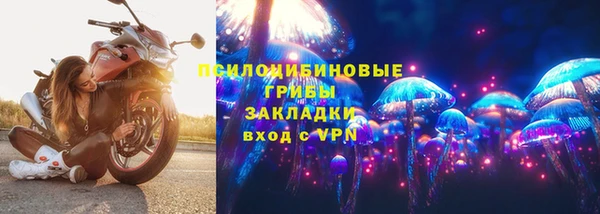 прущий лед Алзамай