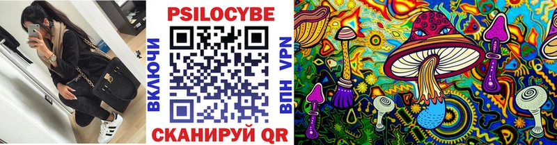 как найти   Порхов  Псилоцибиновые грибы мицелий 